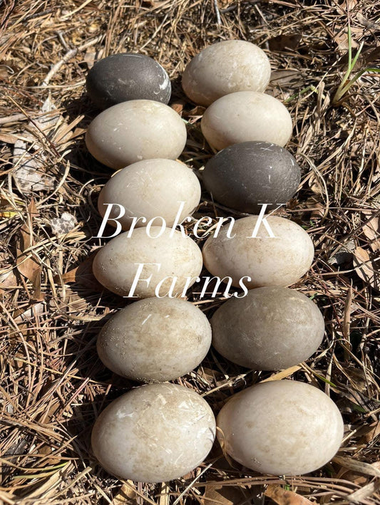 Assorted heritage breed hatching eggs on natural straw outdoors